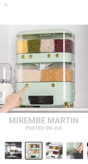 Wall Mounted Rice Storage Tank