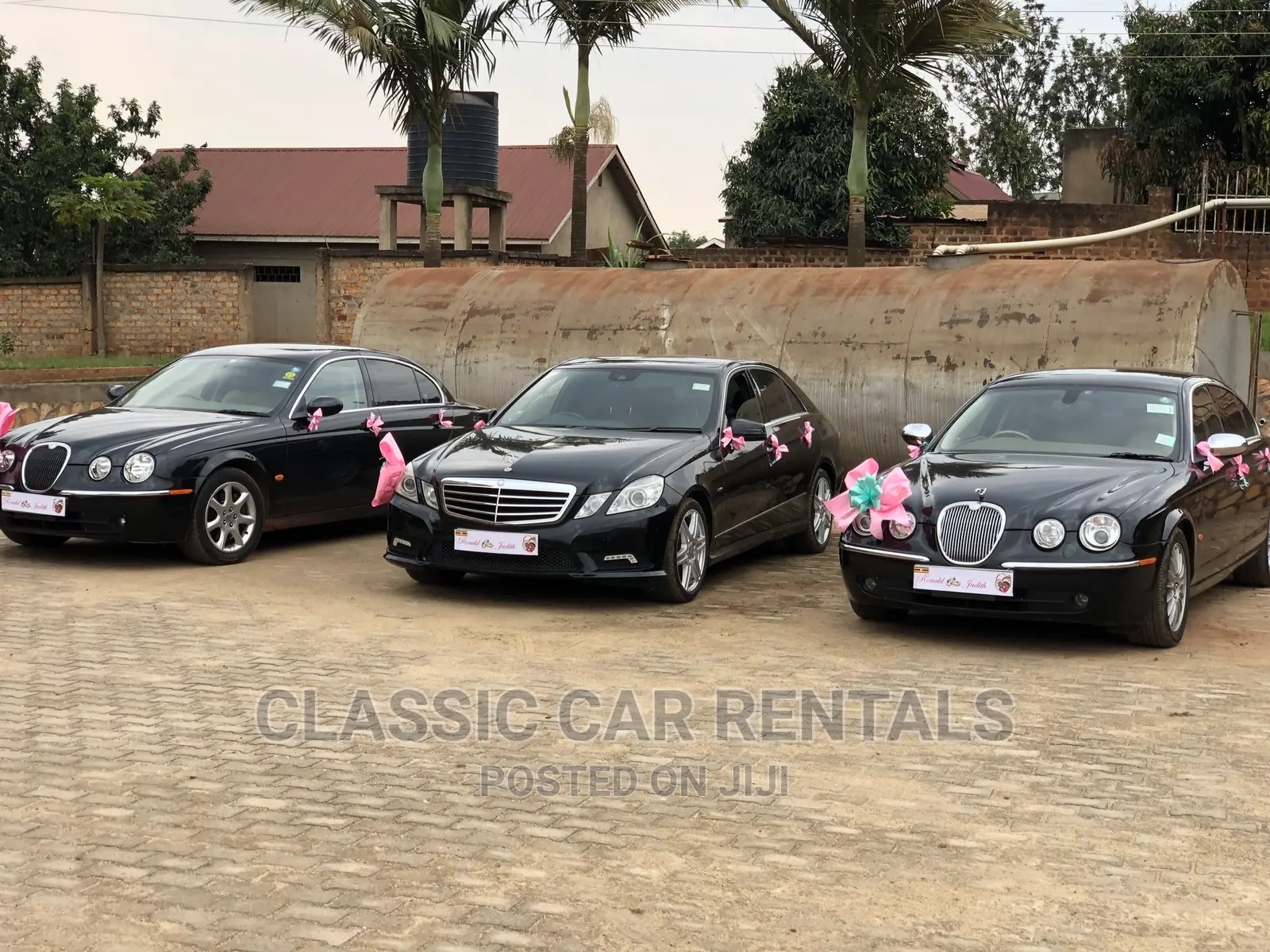 Jaguars for Hire