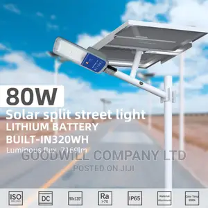 80w Felicity Integrated Solar Street Light/ Security