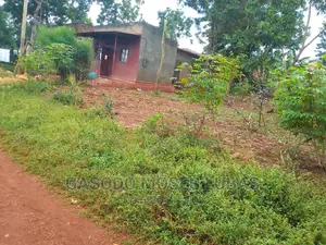 Land for Sale in Mafubira Jinja City