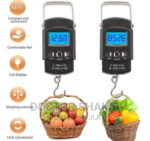 50kg/10g Portable Travel Scale