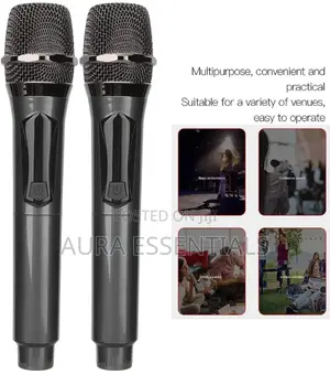 Professional Universal Wireless Microphone
