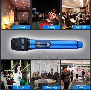 Professional Universal Wireless Microphone