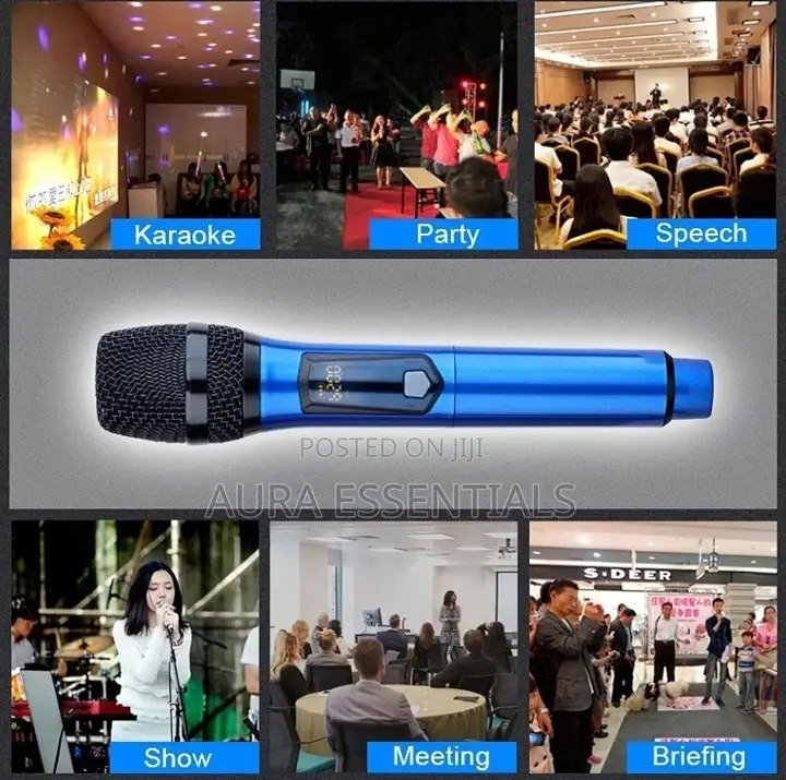 Professional Universal Wireless Microphone