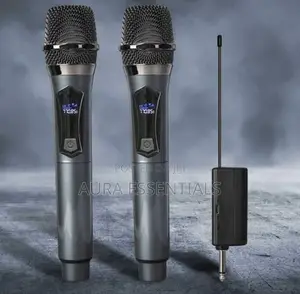 Professional Universal Wireless Microphone