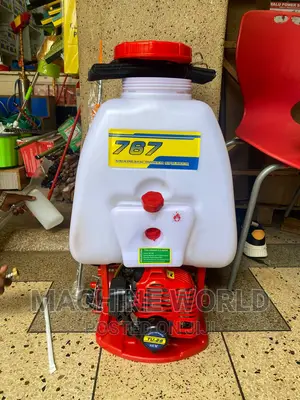 Knapsack Sprayer (Motorized)