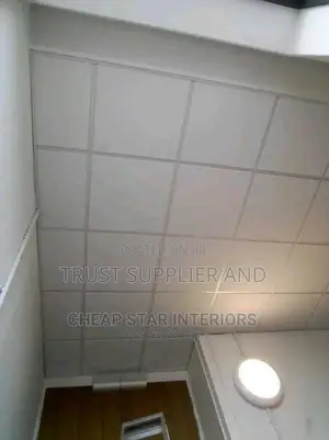 Suspended Ceiling Static