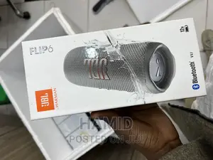 JBL Flip 6