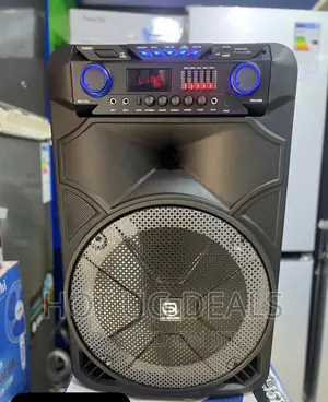 Dual 12" Amplified Public Address Speaker Rechargeable