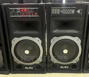 2 in 1 AILIPU Amplified Public Address System Speaker-Black