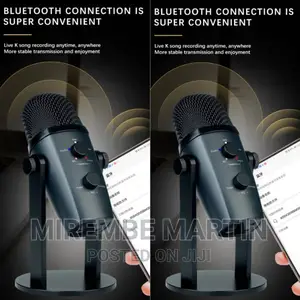 Jmary Microphone