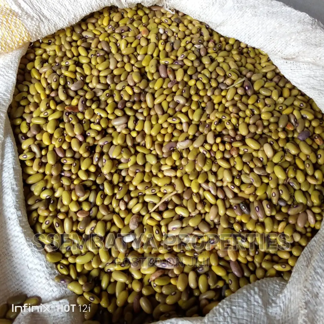 Maize Flour Super