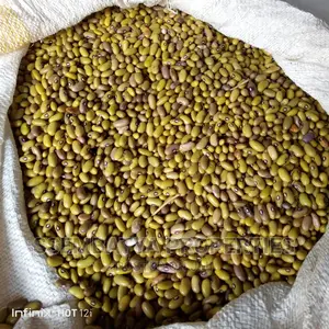 Maize Flour Super