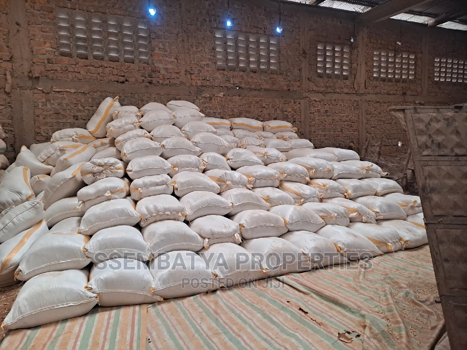 Maize Flour Super
