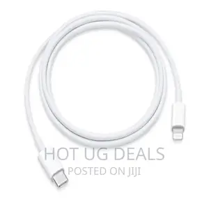 USB Type-C to iPhone 20W Fast Charge Cable - White