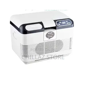 Car Portable Mini Fridge Freezer.