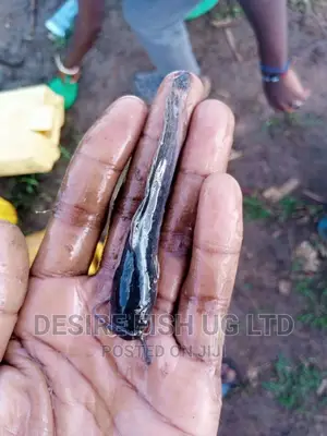 Catfish Fingerings