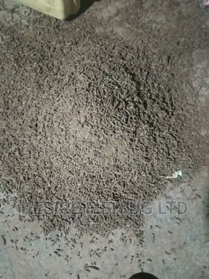 Fish Feeds