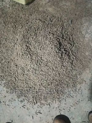 Fish Feeds