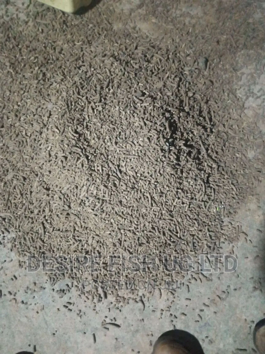 Fish Feeds