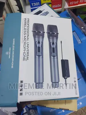 Professional Wireless Microphone