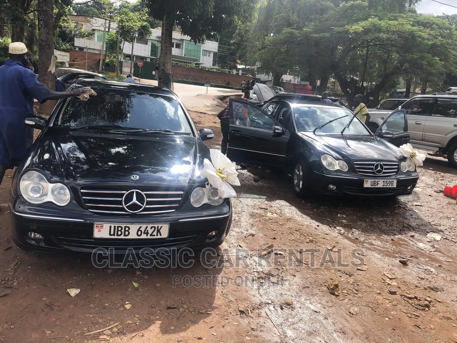 Mercedes Benz C Class Kompressors for Hire