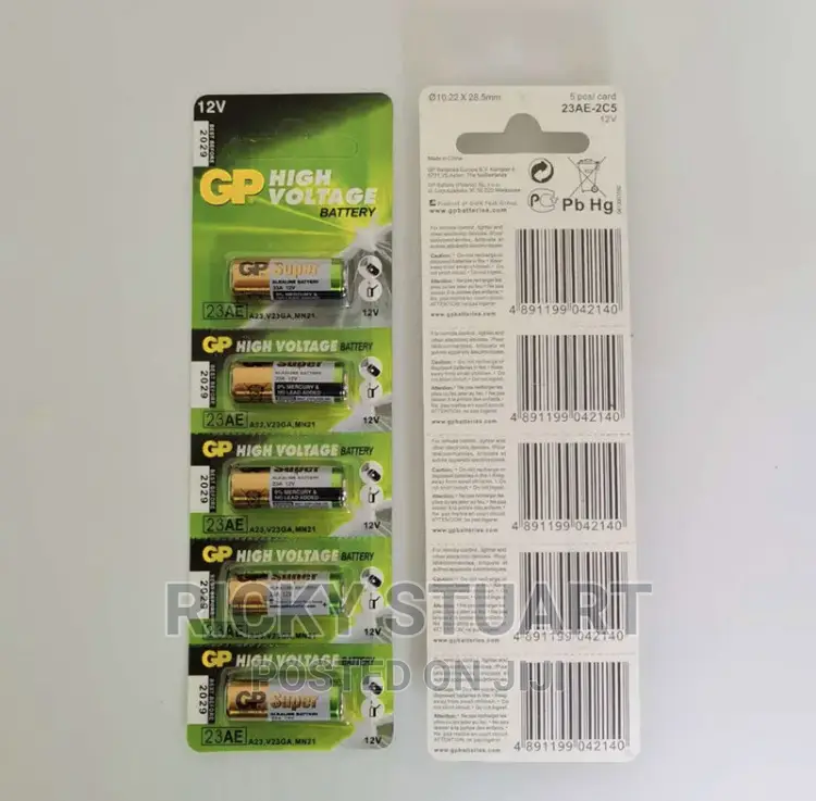 Gp 23A High Voltage 12V Supper Alkaline Battery