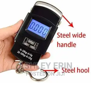 Electronic Travel Scale