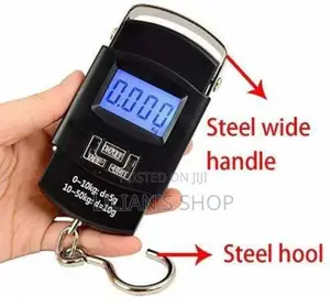 Electronic Travel Scale