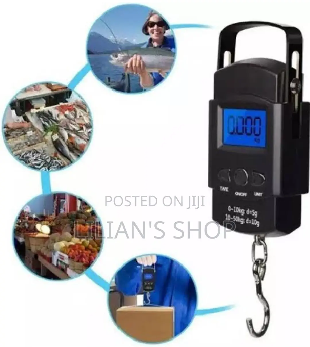 Electronic Travel Scale