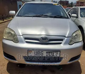 Toyota Corolla RunX 2006 Silver