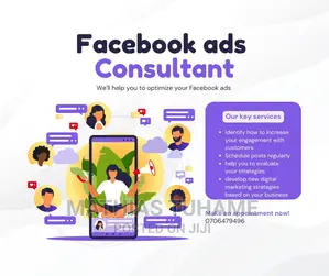 Facebook Ads Consultant
