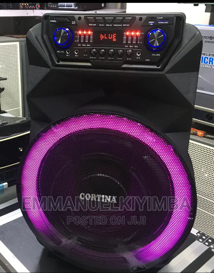 Rechargeable Speaker 15inch