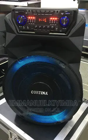 Rechargeable Speaker 15inch
