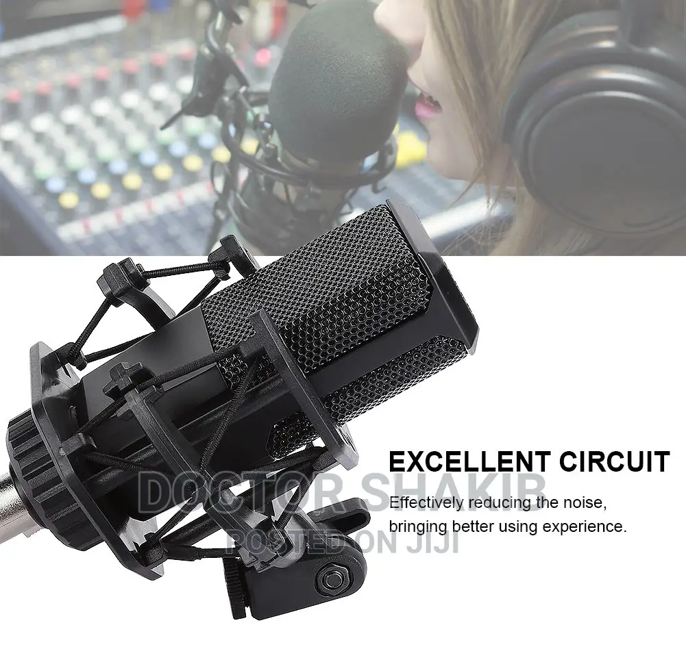 LGT 240 Professional Large Diaphragms Condenser Microphone