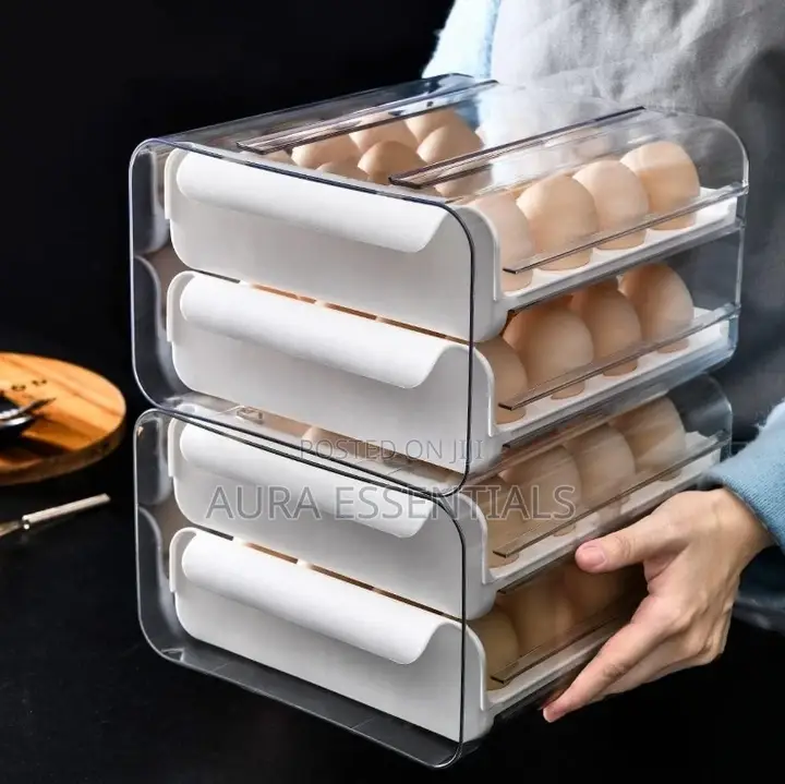 Large Capacity Egg Storage Holder for Refrigerator