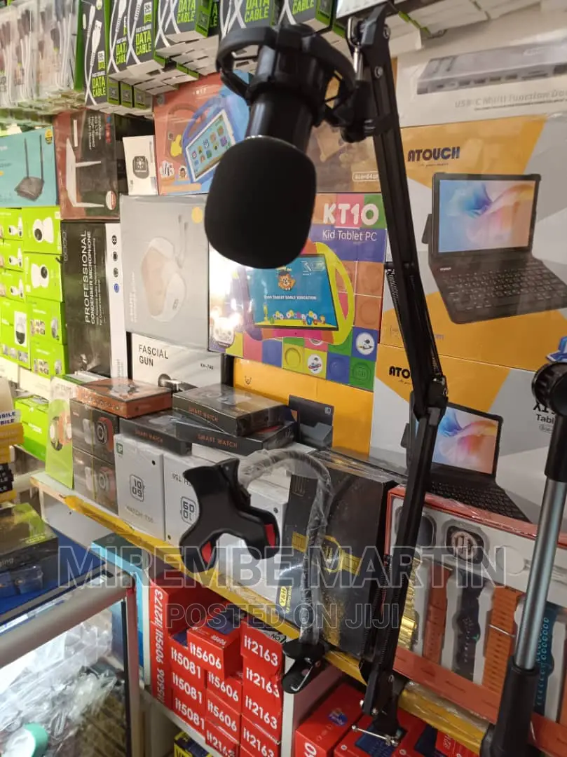 Microphone Condenser With Stand