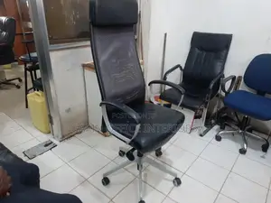 Raised Long Back Office Chair