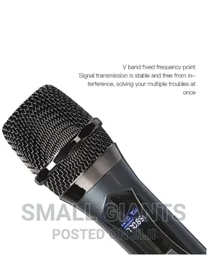 Professional Universal Wireless Microphone