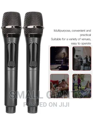 Professional Universal Wireless Microphone