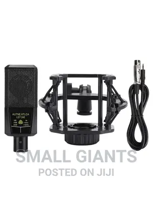 LGT 240 Professional Large Diaphragms Condenser Microphone