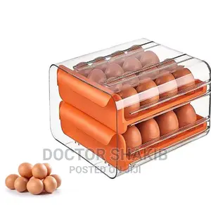 Two-Level Egg Storage Box