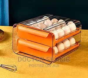 Two-Level Egg Storage Box
