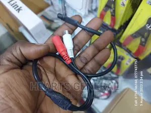 Audio Pickup