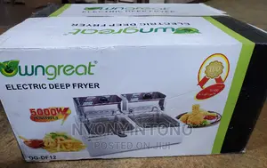 Own Great Double Commercial Deep Fryer With 2years Warranty