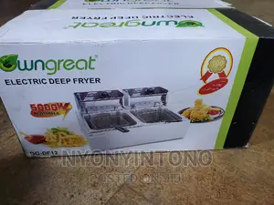 12liters Commercial Deep Fryer With 2years Warranty