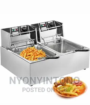 6L + 6L Commercial Deep Fryer With 2years Warranty