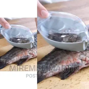 Handheld Fish Scale Remover