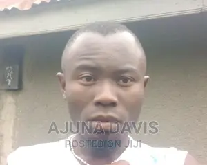 CV for Davis Ajuna Driver