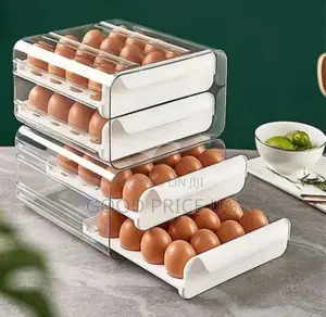 Eggs Storage Canister.